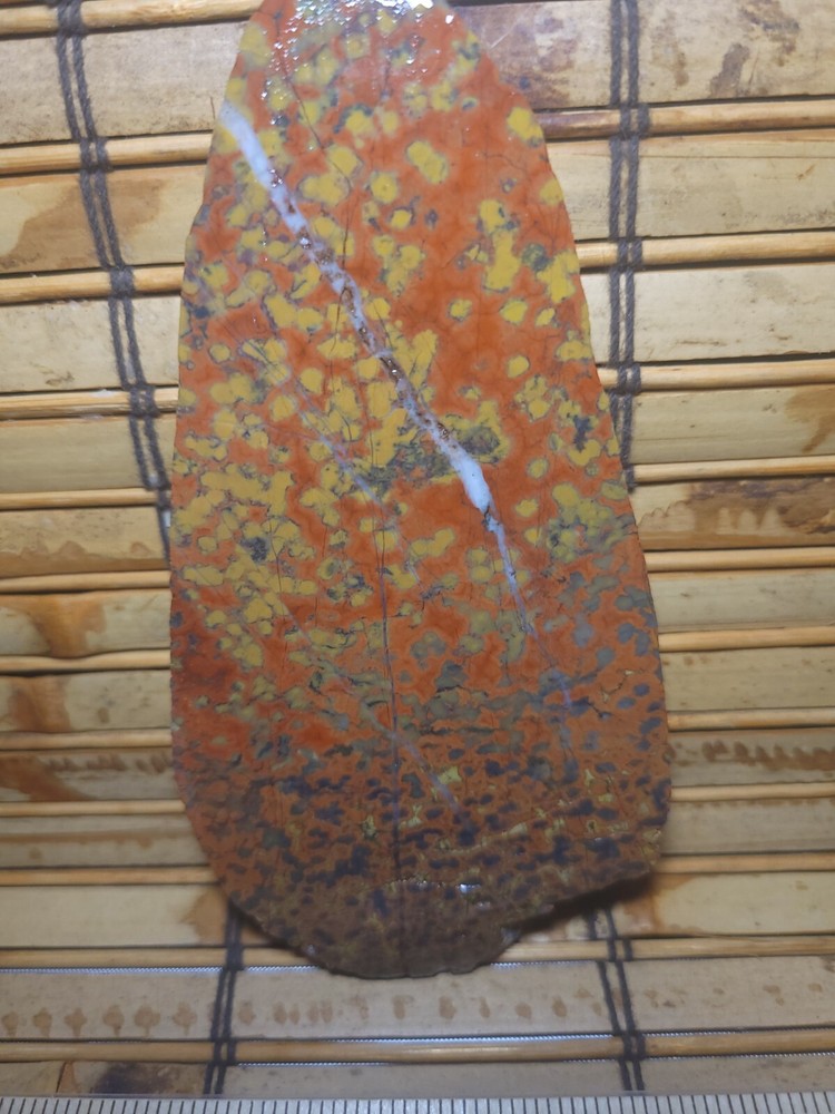AXECCENTS/POPPY JASPER/AGATE/LAPIDARY/APJ6640