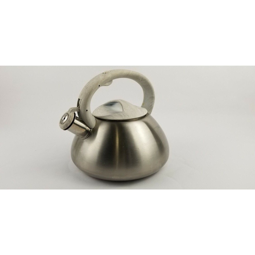Studio Everyday Tea Kettle Brushed Stainless Steel Whistle Tea Pot, Stovetop