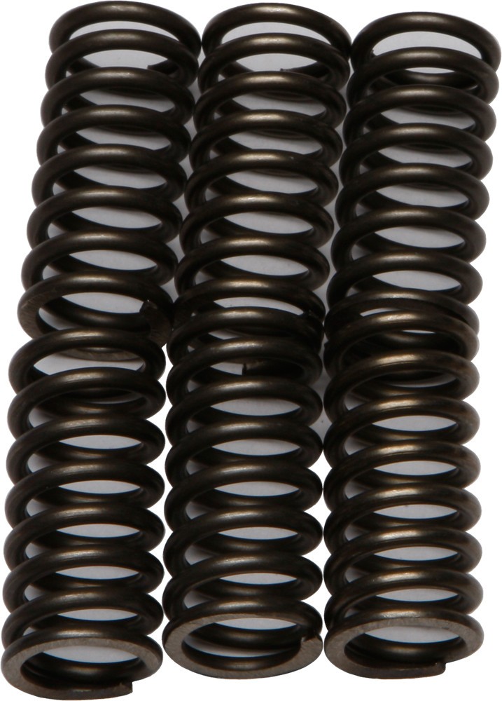 EBC Clutch Spring Set - Clutch Springs - CSK111