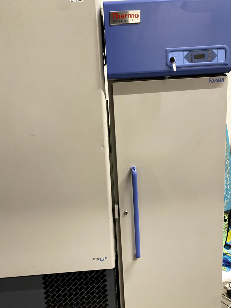 Thermo Scientific Freezer -30