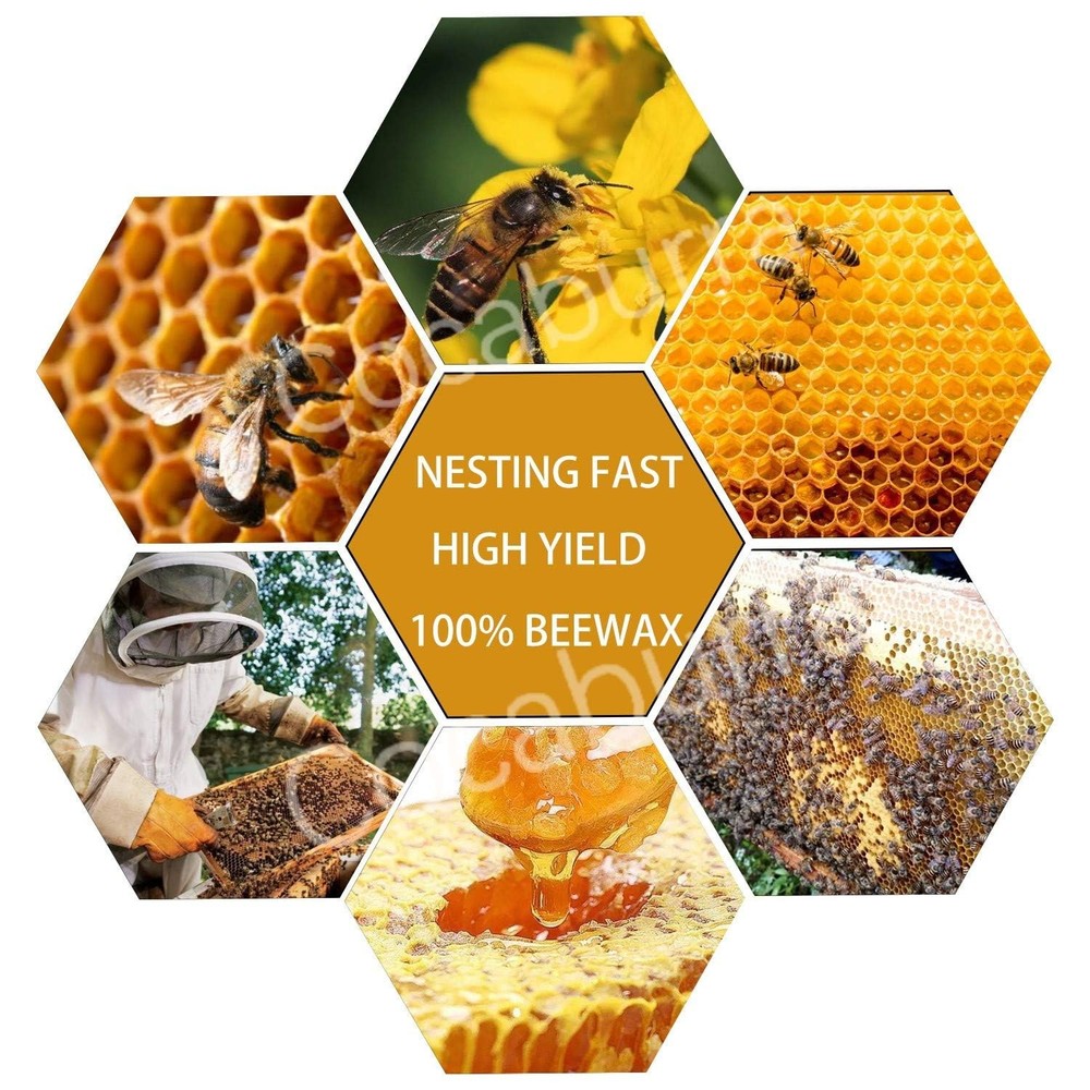 60pcs Bee Hive Foundation Sheets, 9" Langstroth Beehive Wax Foundation, Deep ...
