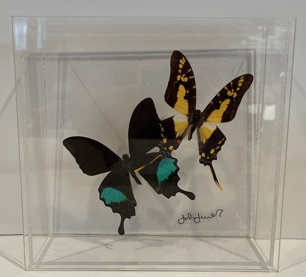John Jurek Acrylic Butterfly Box
