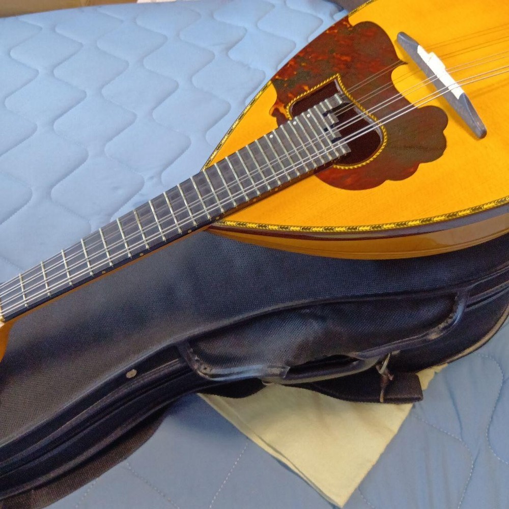 Mandolin 8 string orange with case