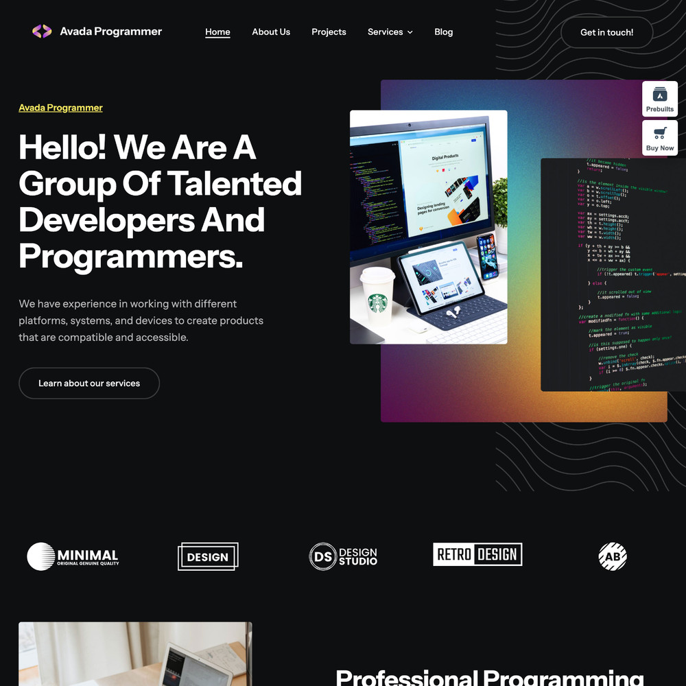 Programmer Websites Design for Sale with Free VPS Web Hosting