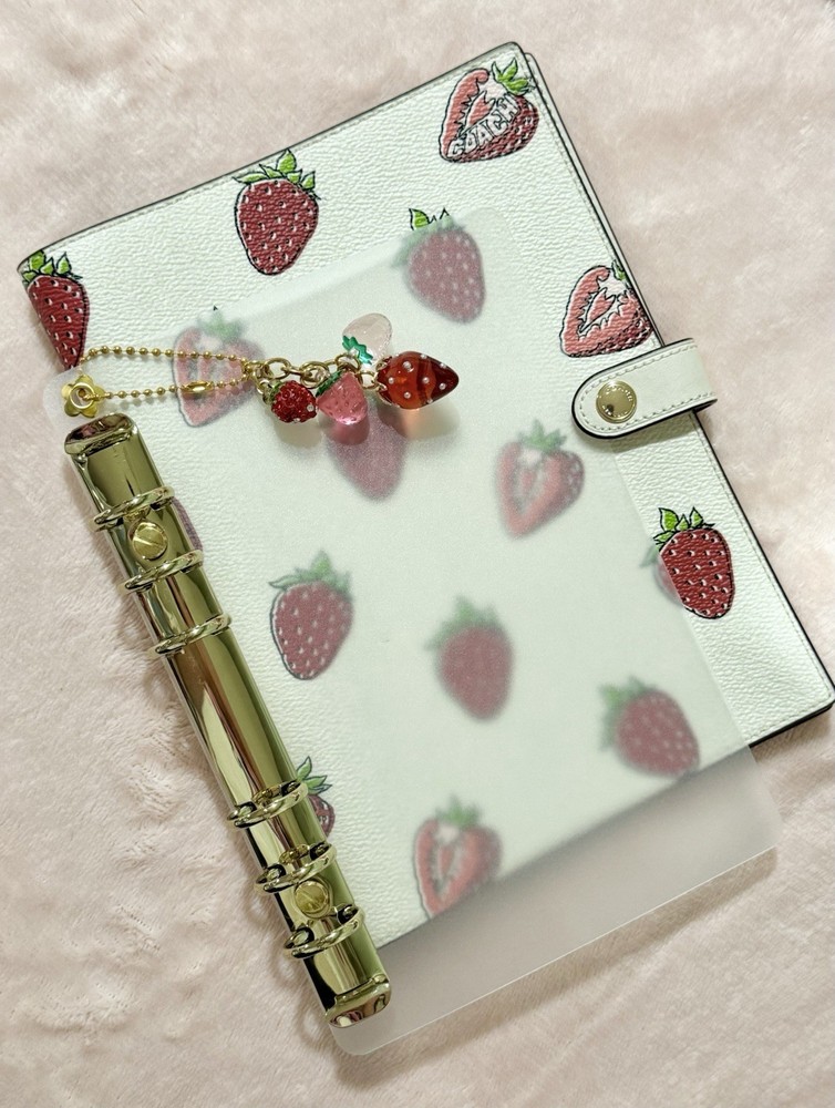 CLEAR INSERT / GOLD RINGS | COACH Notebook Binder Transition Insert