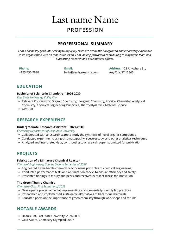 Modern Resume Template Bundle | 11 Editable Canva/PDF/PPTX Templates | CV