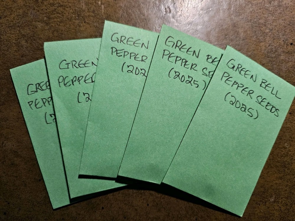 Green Bell Pepper Seeds — Non-GMO