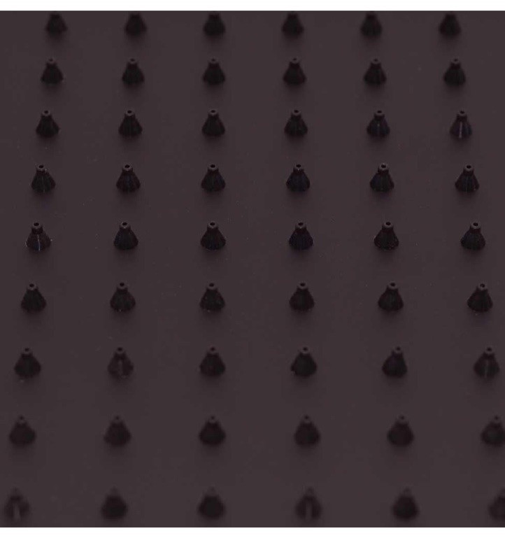 West brass shower head