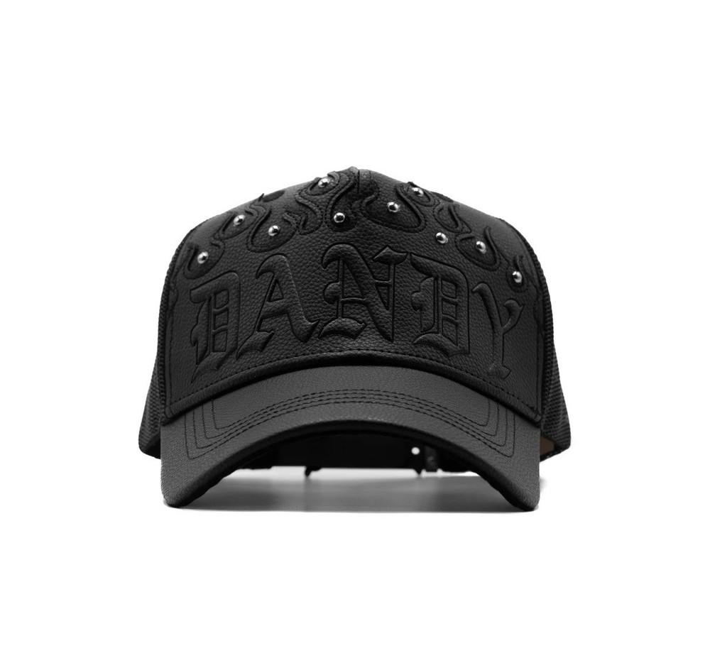 Dandy ( Dandy Did This)