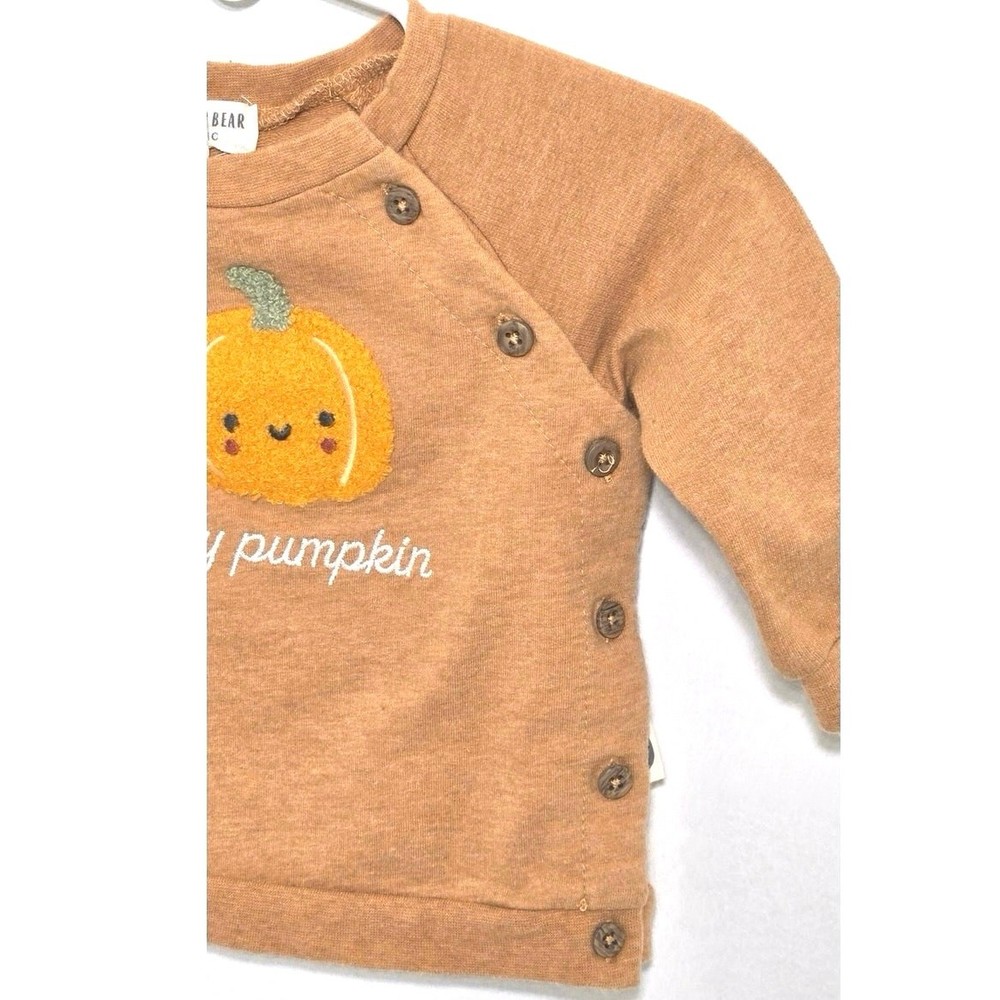Rabbit +Bear pumpkin sweatshirt. Size 6-9 months.