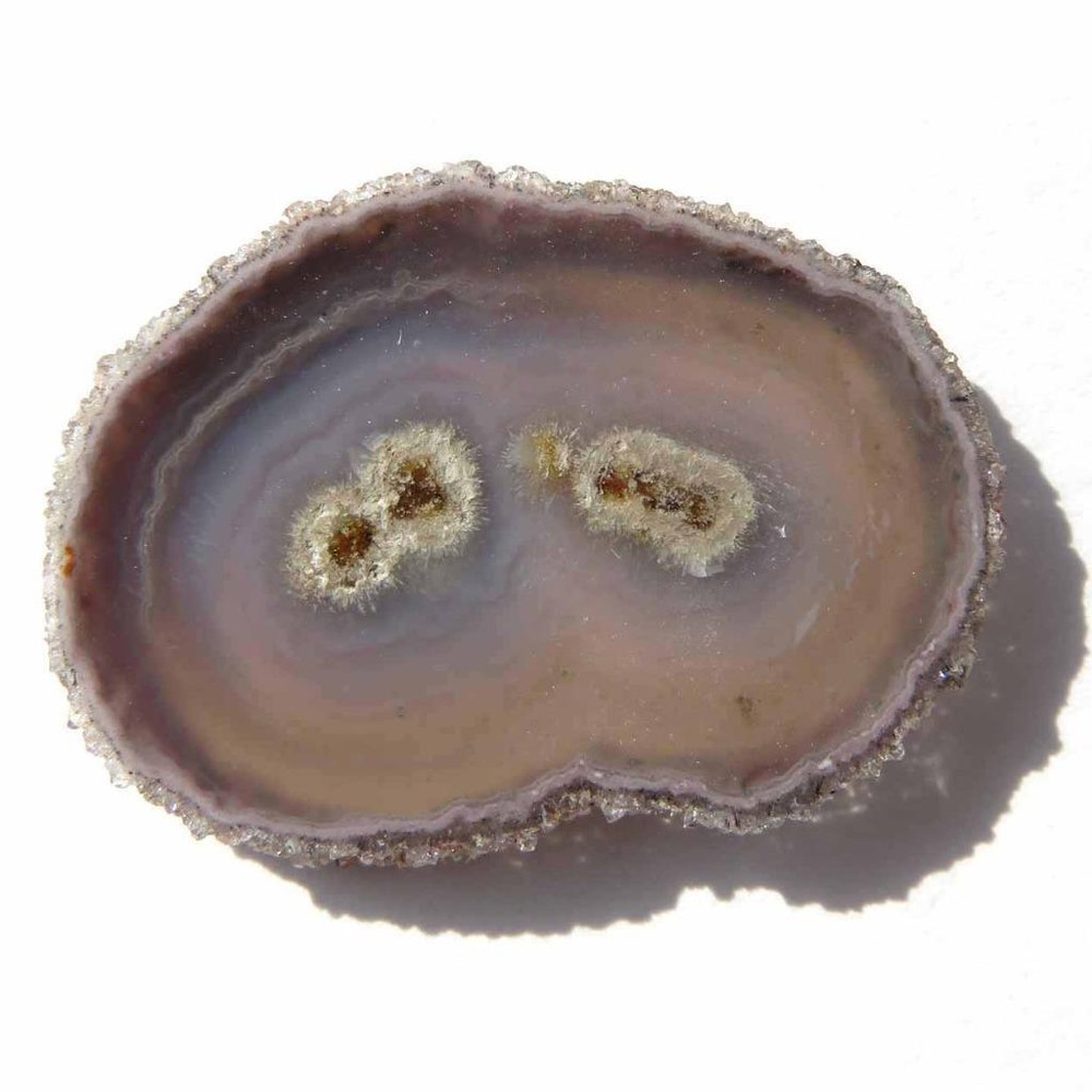 Stalactite Flower Slice  Polished Both Sides    VX692