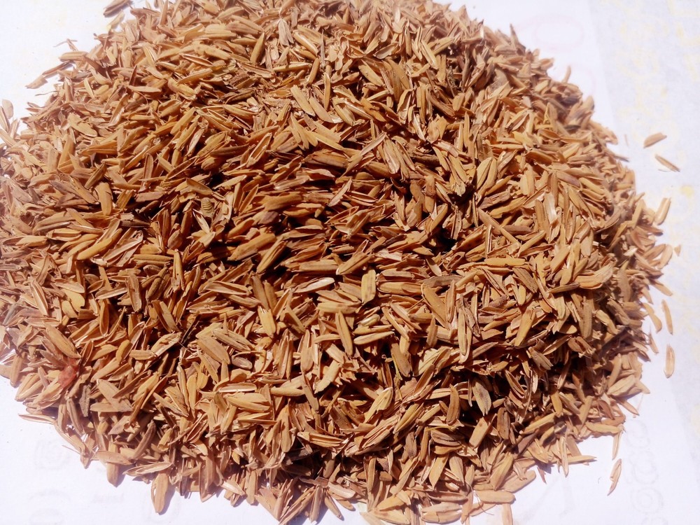 Rice Husk 100% natural compost hydroponic growing media 100g