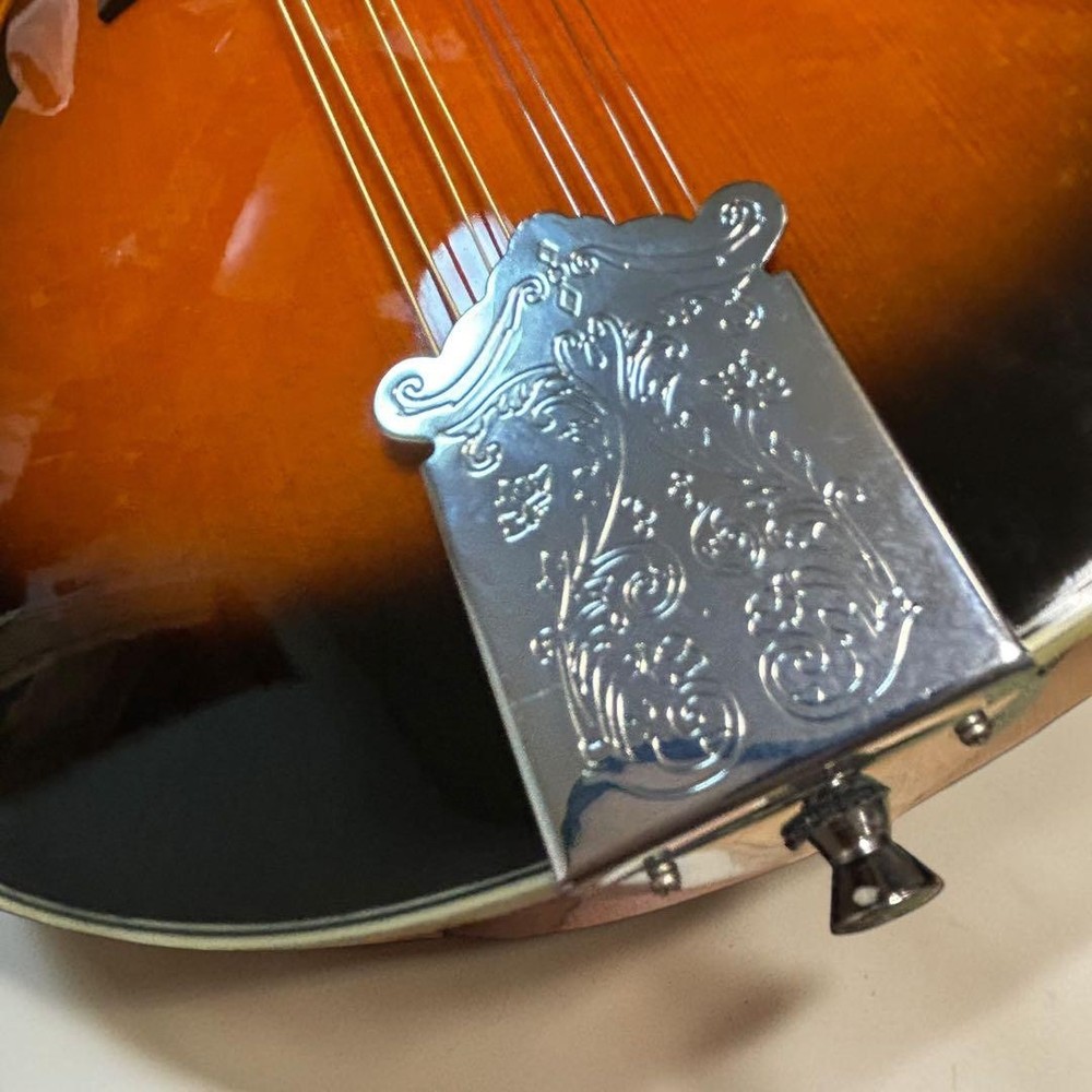 [Good condition/new strings] Aria AM20 8 string mandolin hard case included
