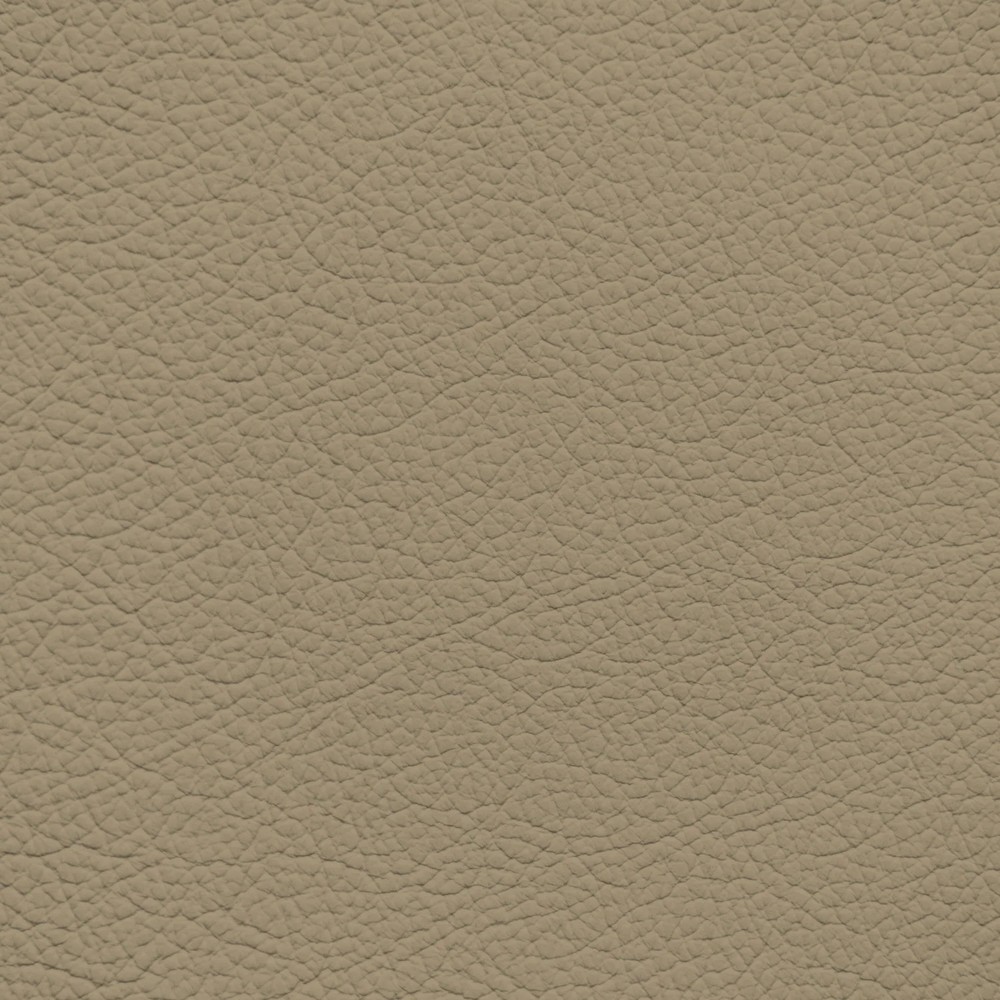 Volvo Light Beige Ivory Leather Dye