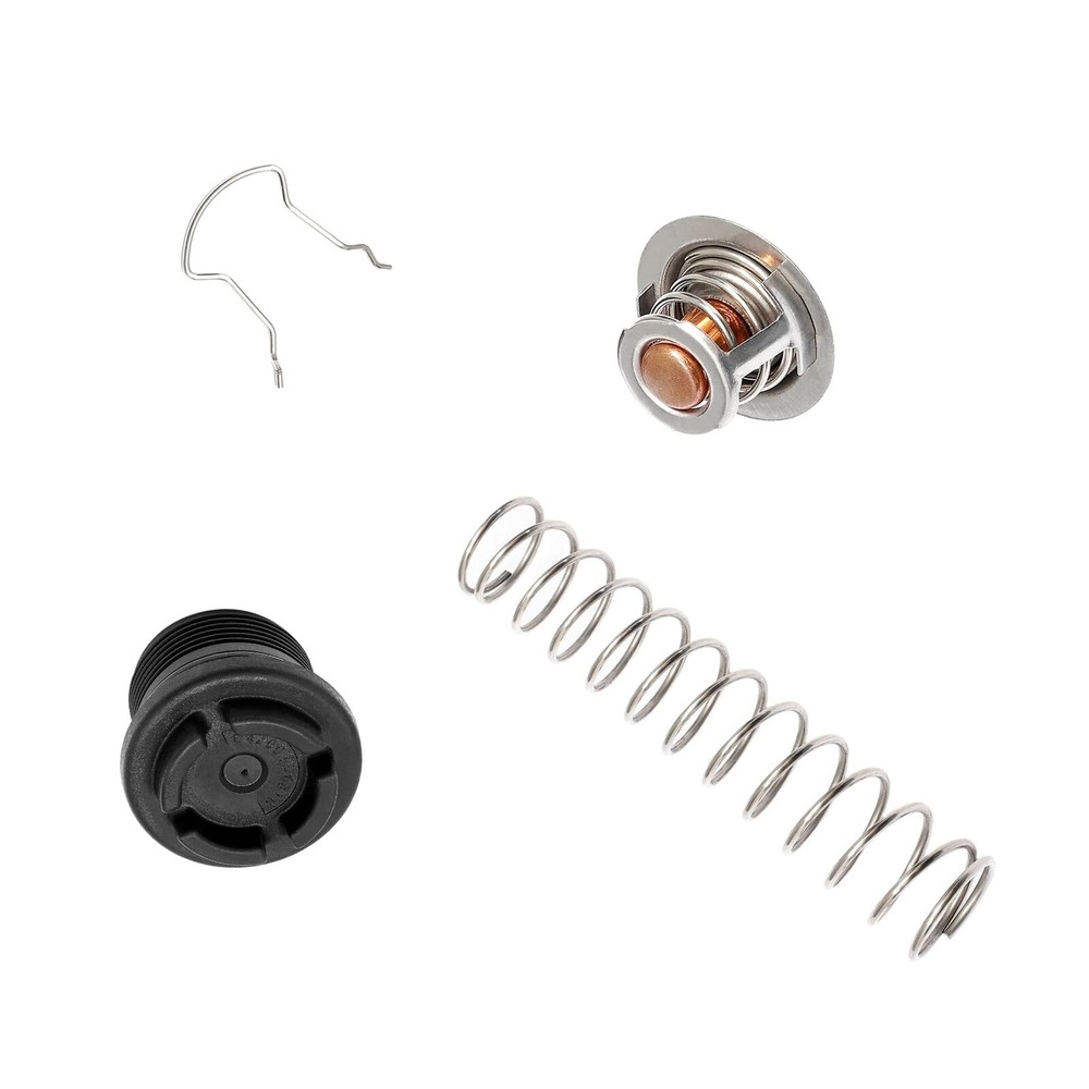 Thermal Regulator Kit For Pentair Pool Spa Heaters Mastertemp 125-400 77707-0010