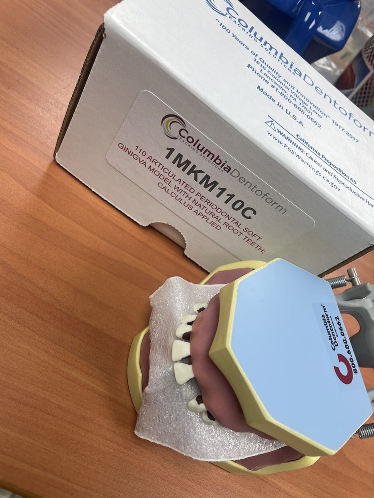Columbia Dentoform 1mkm110c Dental Typodont Model Calculus