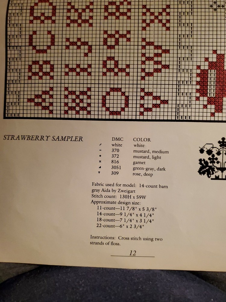 STRAWBERRY SAMPLER from a magazine