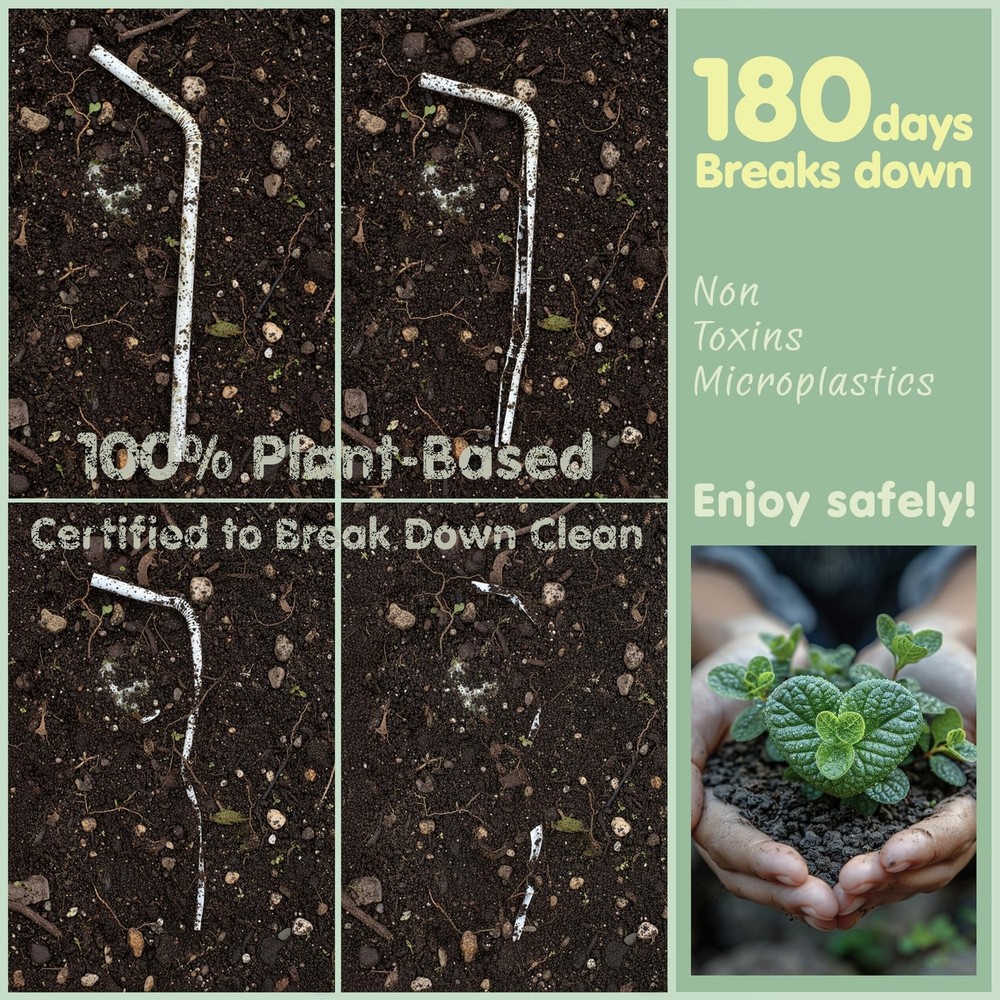 200 Count 8.25" x 0.28" Compostable Flexible Bendable PLA Straws(White) –