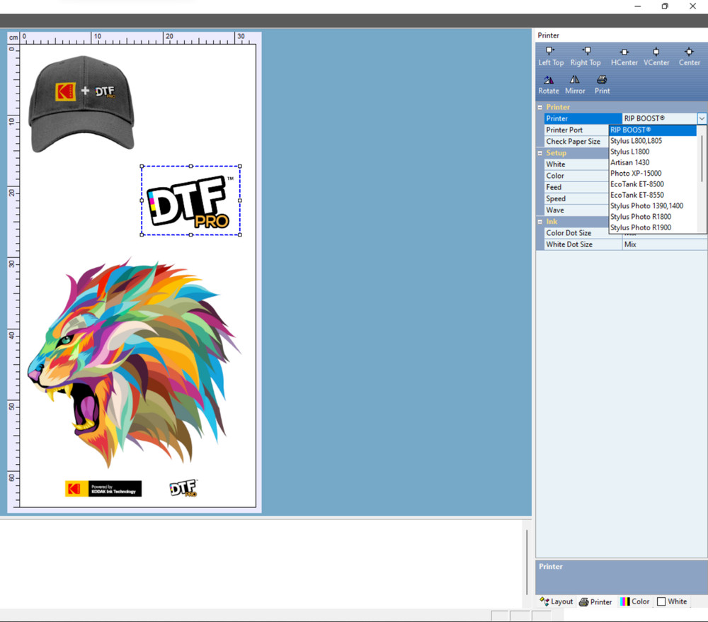 DTF RIP V11 Software Desktop Version USB Flash Drive/Dongle