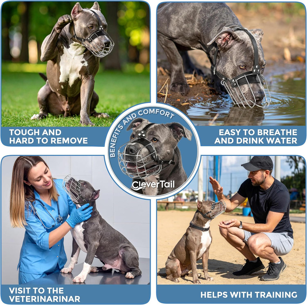 Metal Pitbull Muzzle for Large Sized Dog – Basket Muzzle for Dogs with Adjustabl