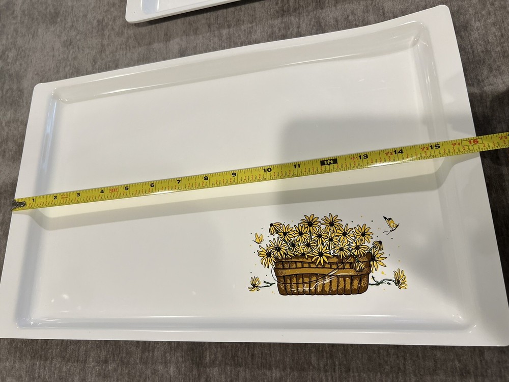 RARE Sterilite Trays-8