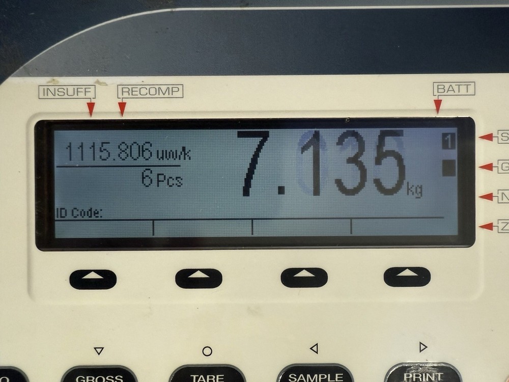 Rice Lake Counterpart Scale Display Control Panel III/IIIL - Powers On - Read
