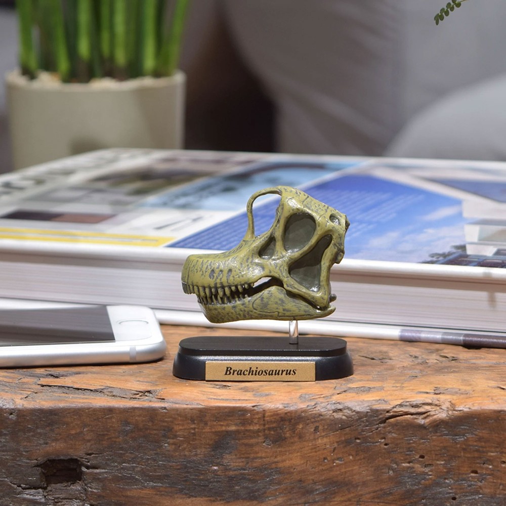 Dinosaur Brachiosaurus Skull Mini Figure Mini Model Favorite New