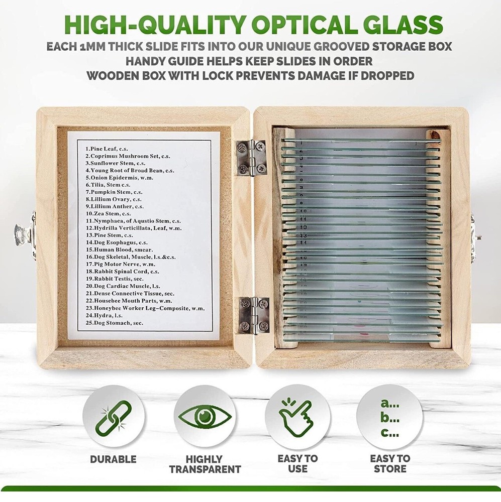AmScope 25 Glass Prepared Microscope Slides with Wooden Box