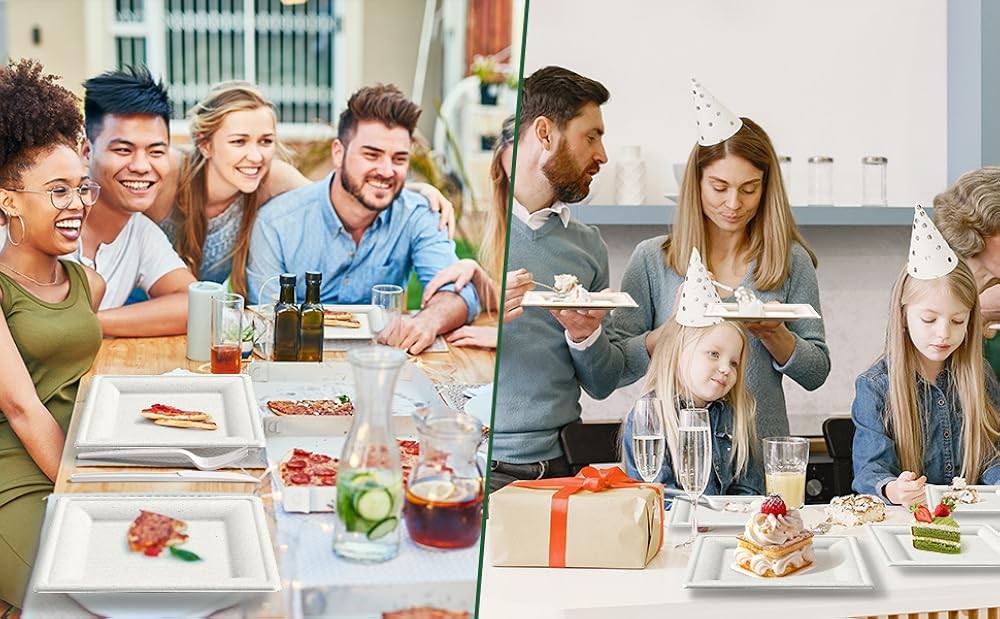 postable Paper Plates, and Biodegradable Set Includes Forks Spoons