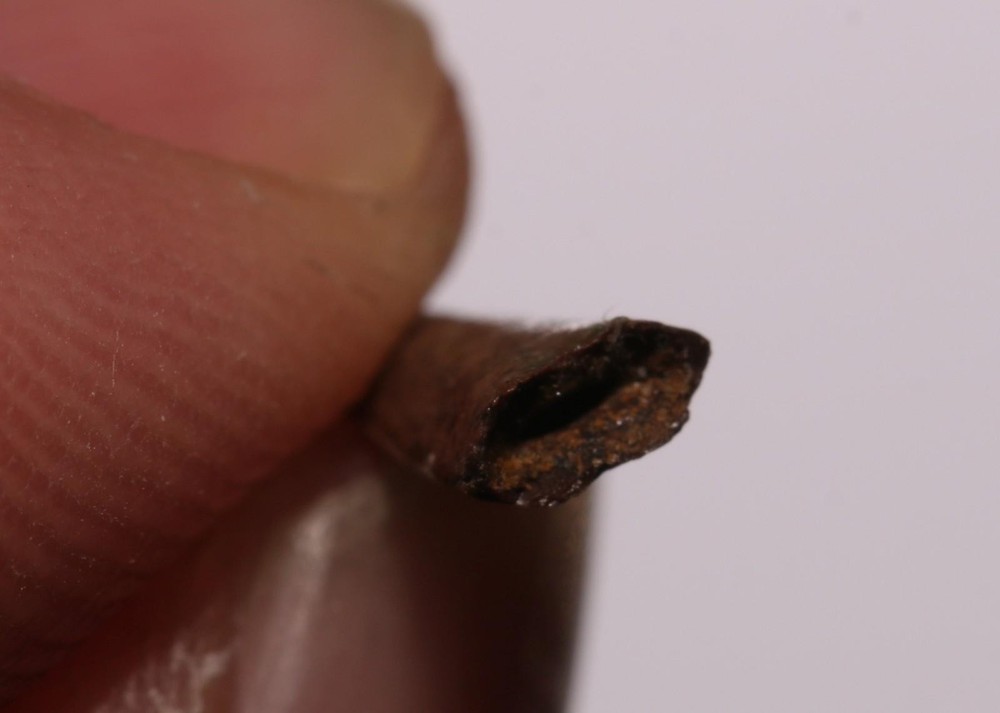 Richardoestesia Tooth GREAT SERRATIONS Hell Creek Formation Cretaceous