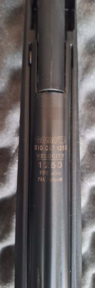 Gamo Big Cat 1250