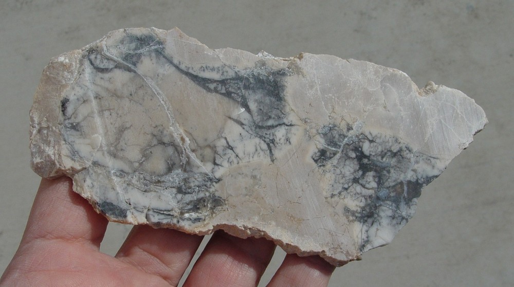 Cedar Ridge Dendritic Opal Lapidary Slab T1129