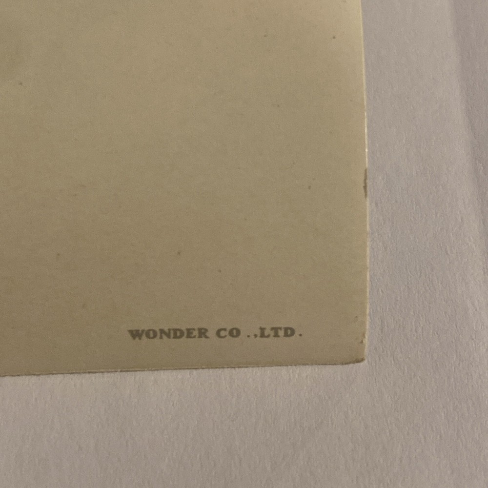 Vintage 3D Lenticular Surfing Postcard