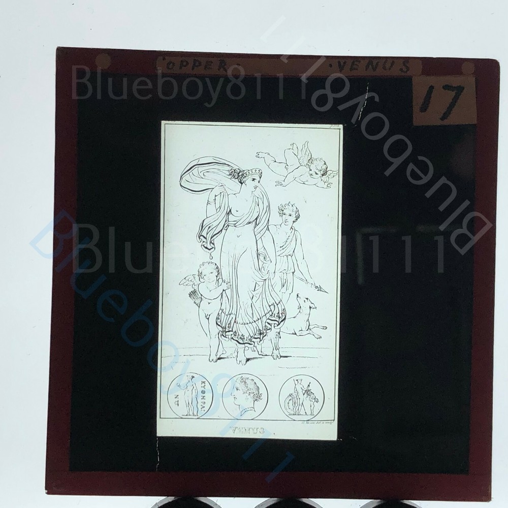 Roman goddess Venus magic lantern