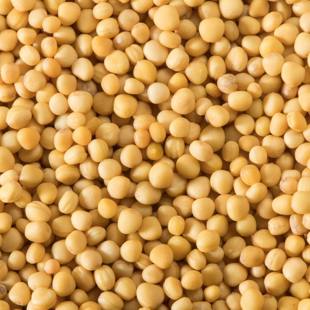Yellow Mustard Seed, 1.4 Oz