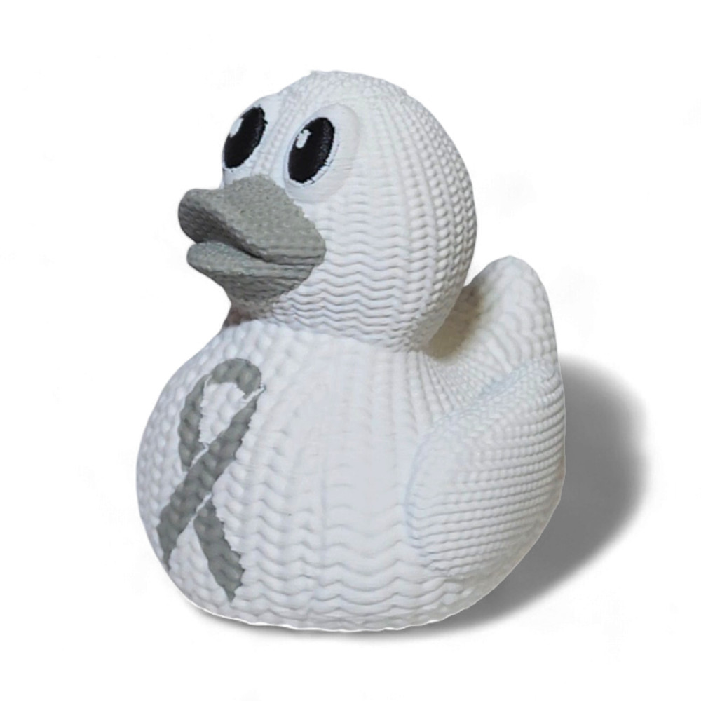Dyslexia Awareness Duck