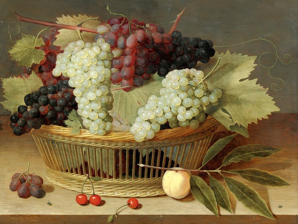 STILL LIFE WITH GRAPES Accent Tile Mural Kitchen Bathroom Wall Backsplash 8x6