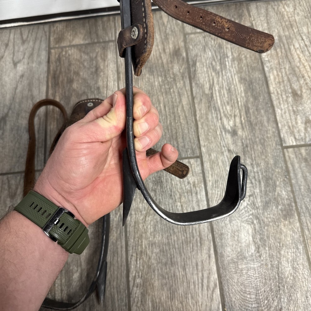 Buckingham Tree Climbing Spikes