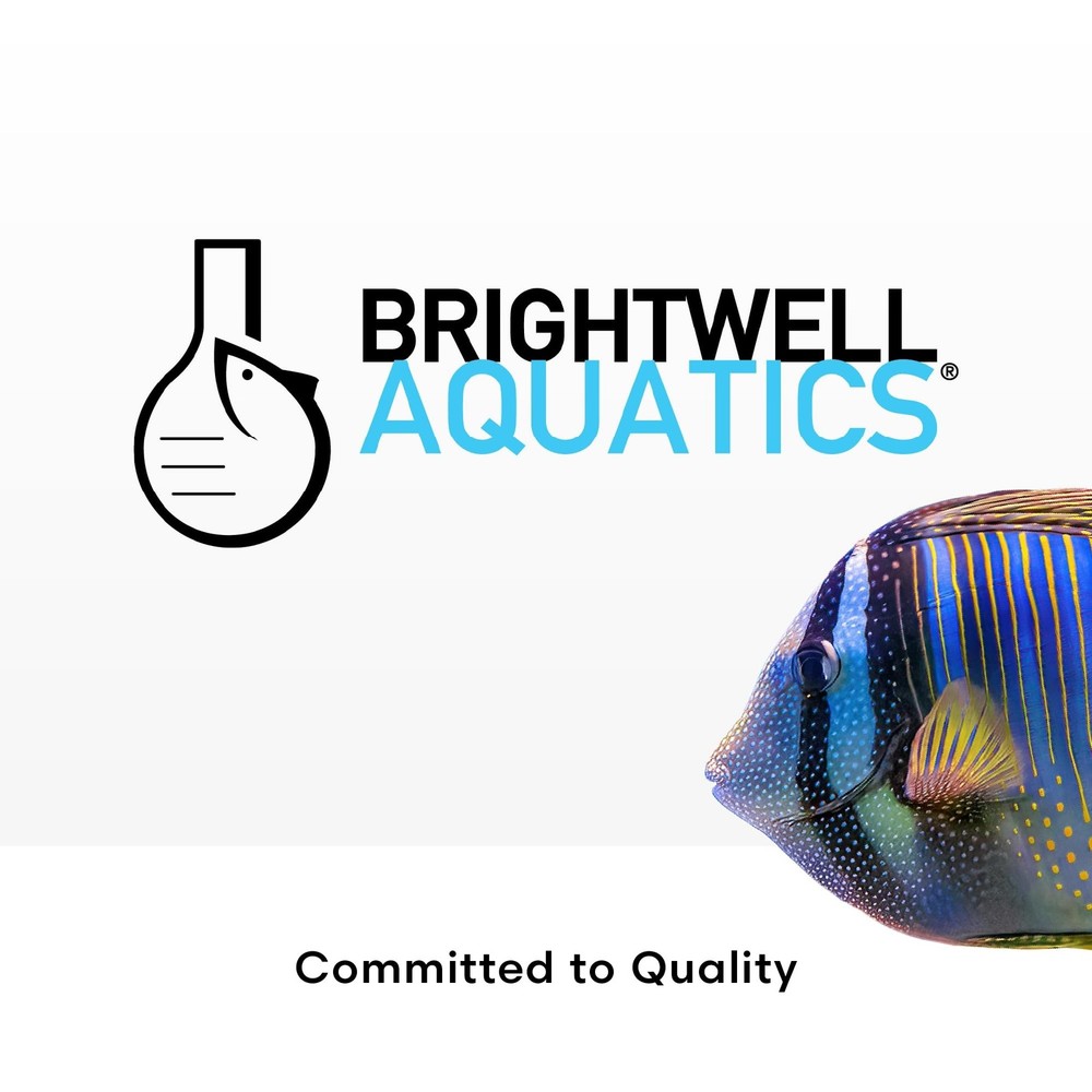 Brightwell Aquatics SpongExcel – Ionic Silica Solution for Marine Sponge &