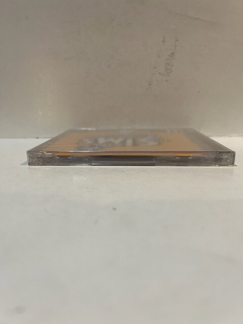 The Sims Vacation Expansion Pack - PC [video game]