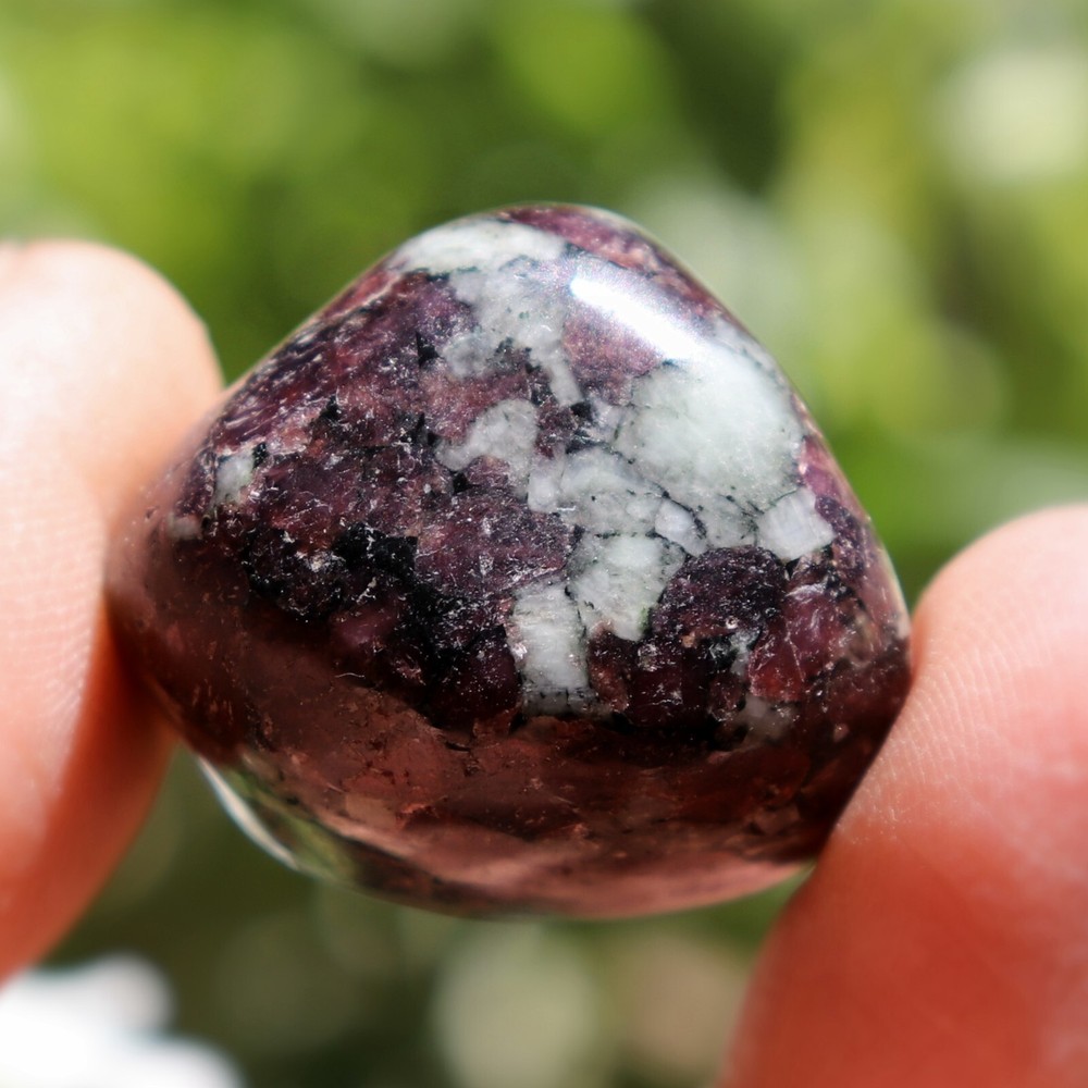 Polished Eudialyte, Fluorescent Mineral (EUD21)