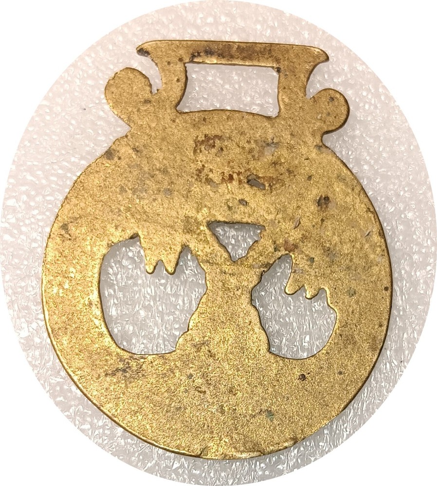 PALM TREES - TORQUAY - DEVON horse brass (8003)