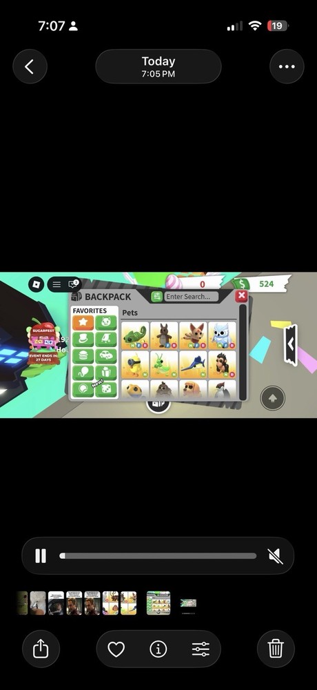 Adopt Me! Backpack Pets & Virtual In-Game Items Collection Game Item Asset