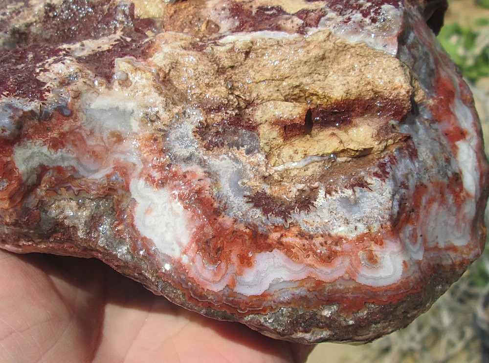 CRAZY LACE AGATE ROUGH ~ 6lbs 2ozs
