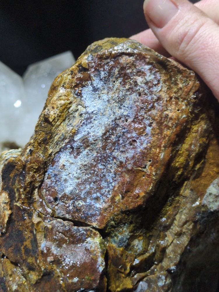Biggs Jasper Specimen w/ Dendric Natural Form (7lbs 12oz)