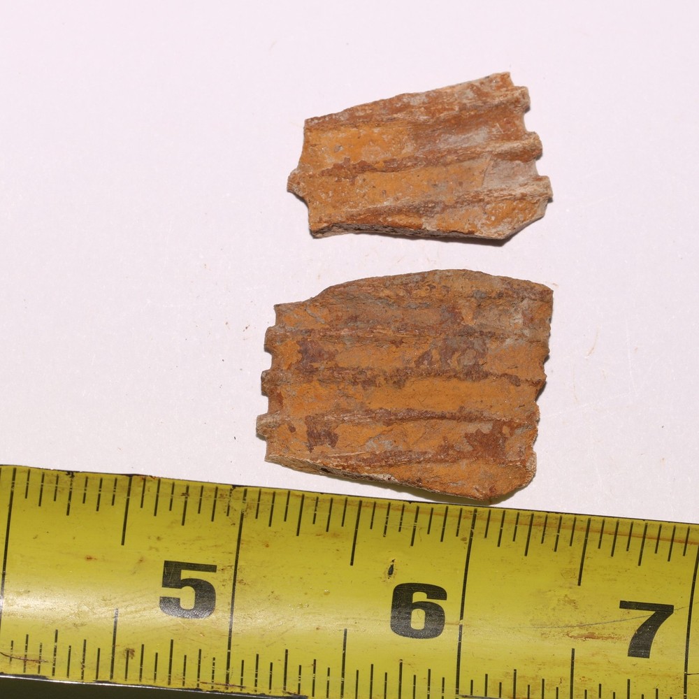 Edmonotsaurus Jaw sections (2 jaws) Cretaceous Hell Creek Formation - Nice Piece