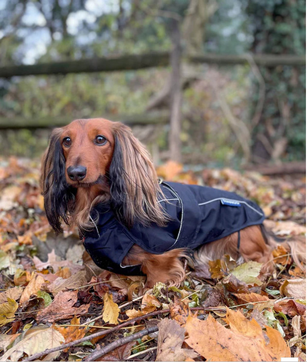 NWT Django City Slicker Dog Jacket and Raincoat