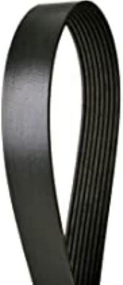 Continental 4081261 Serpentine Belt , black