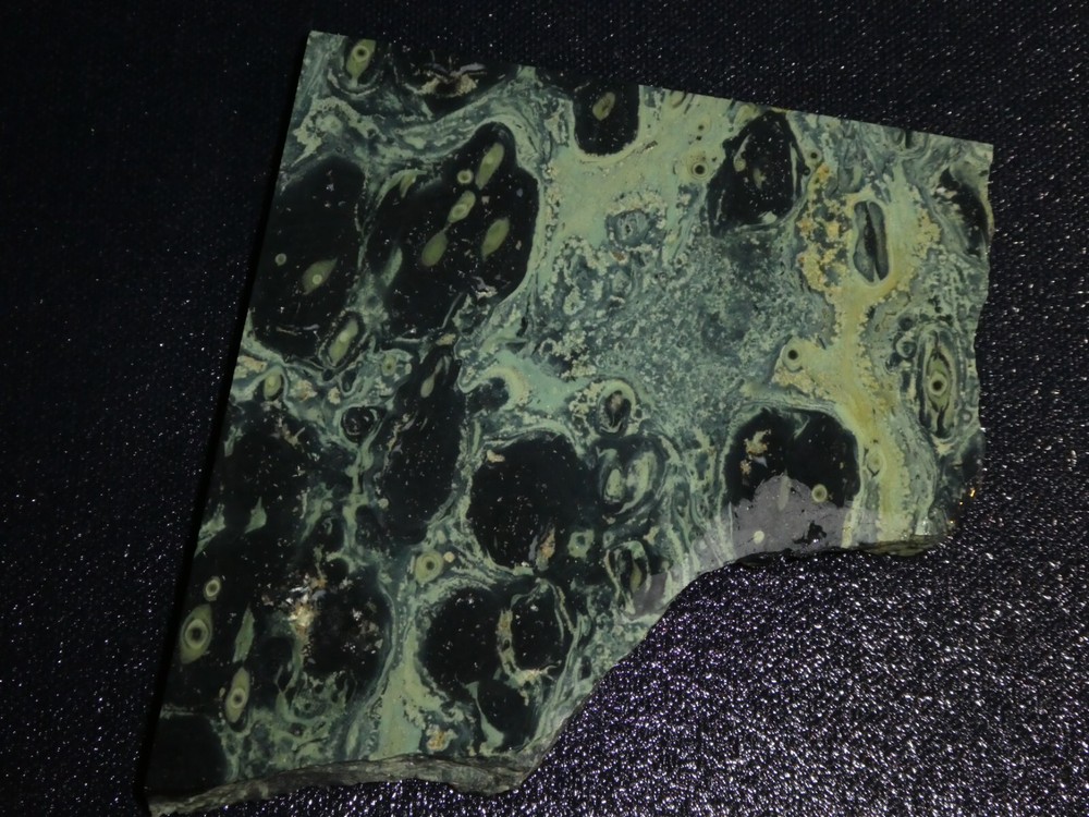 Kambaba Jasper slab-  4 1/4  " x  4"  cabbing or display, Geology,