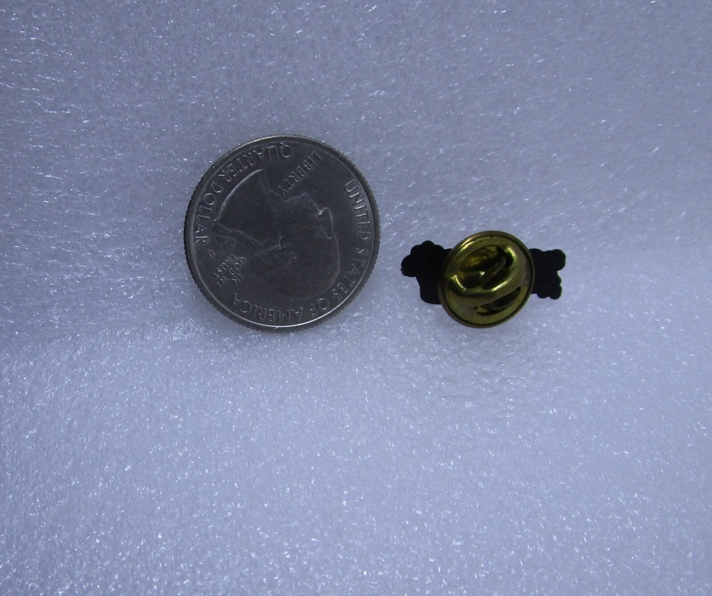 The Spirit Lives On Plastic Pin